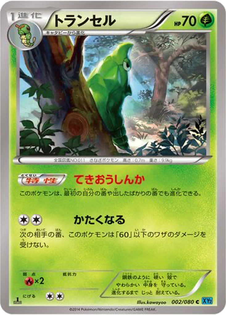 Metapod 2 - Wild Blaze kart görseli