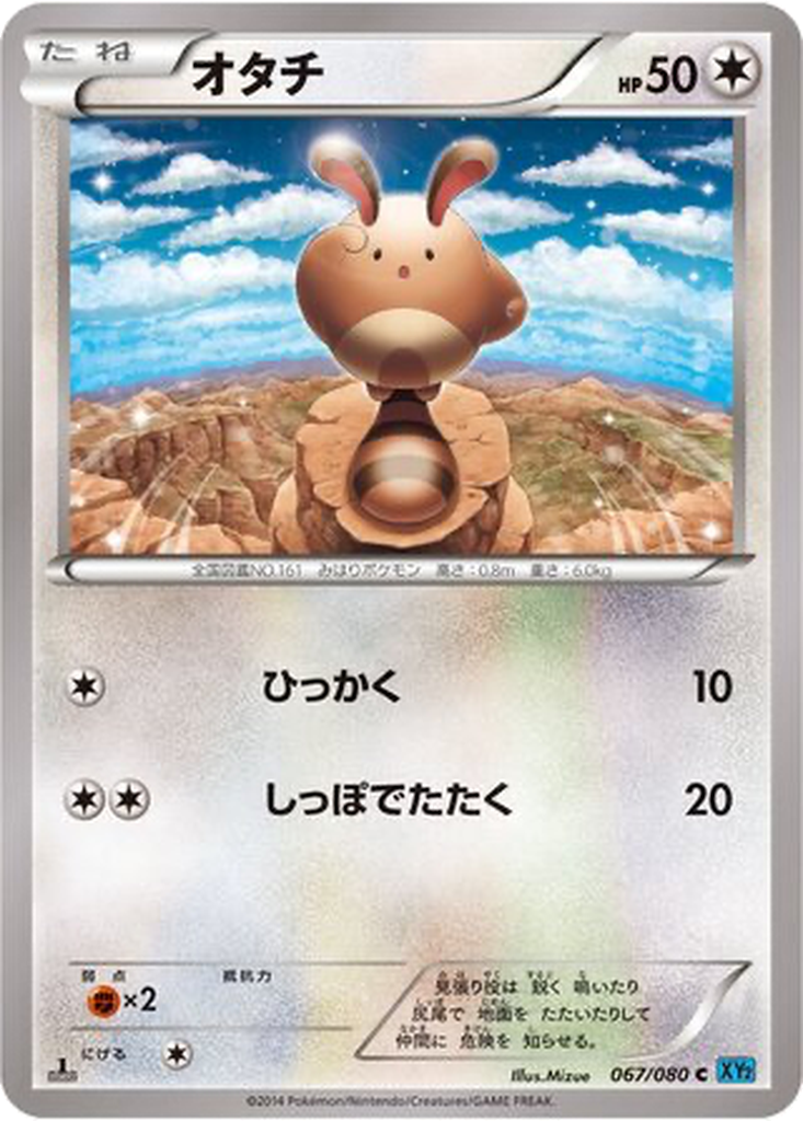 Sentret 67 - Wild Blaze kart görseli