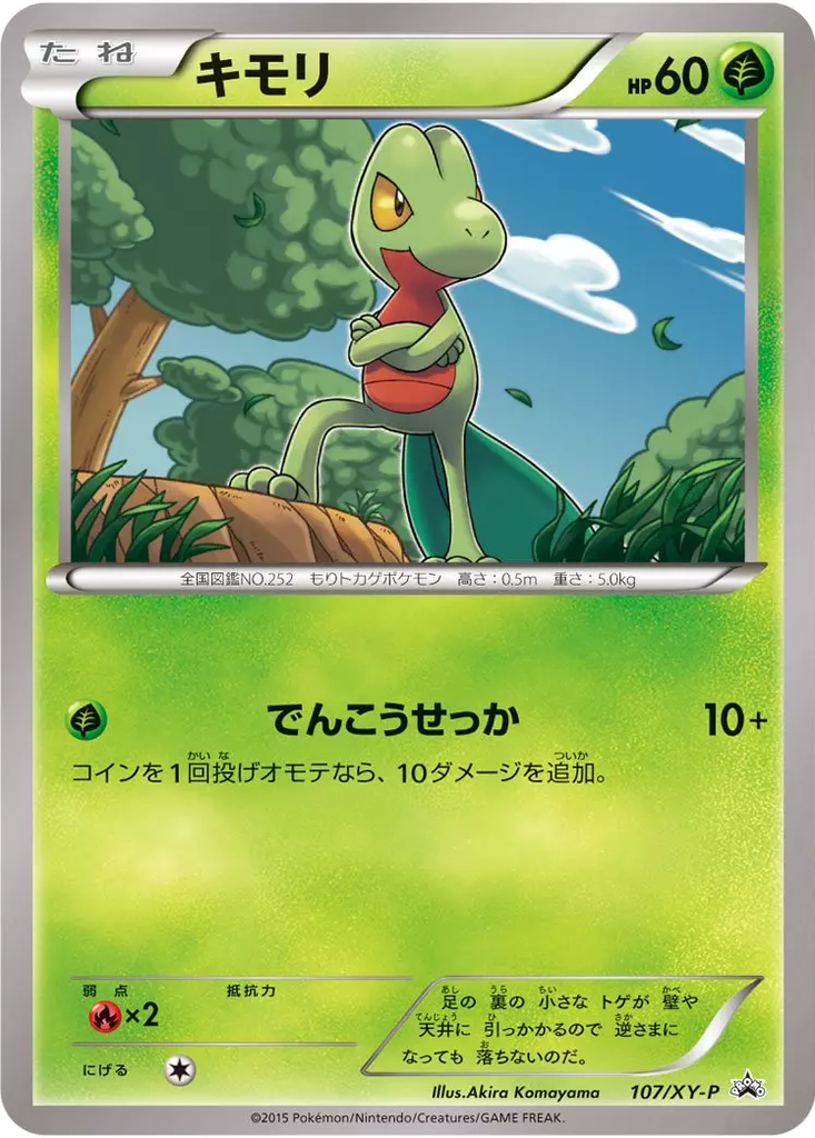 Treecko 107 - XY Promos kart görseli