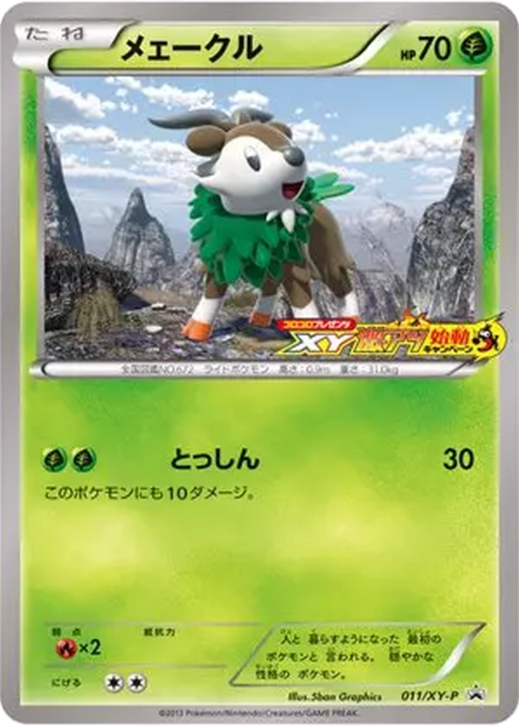 Skiddo 11 - XY Promos kart görseli