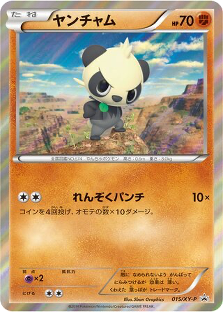 Pancham 15 - XY Promos kart görseli