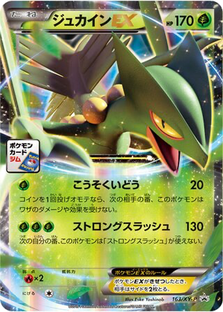 Sceptile EX 163 - XY Promos kart görseli