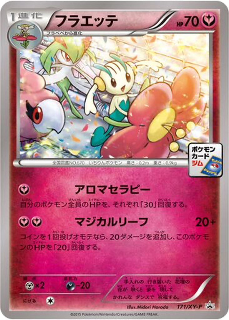 Floette 171 - XY Promos kart görseli