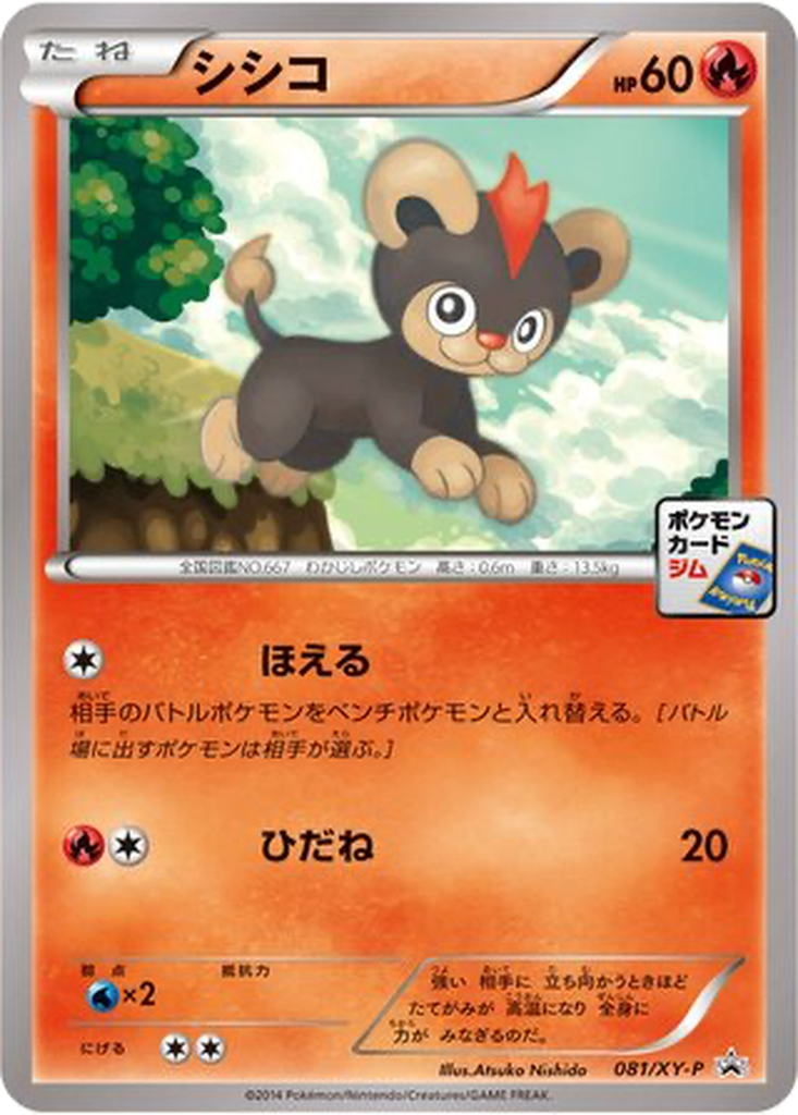 Litleo 81 - XY Promos kart görseli