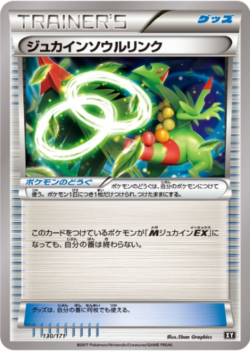 Sceptile Spirit Link 130 - THE BEST OF XY kart gorseli