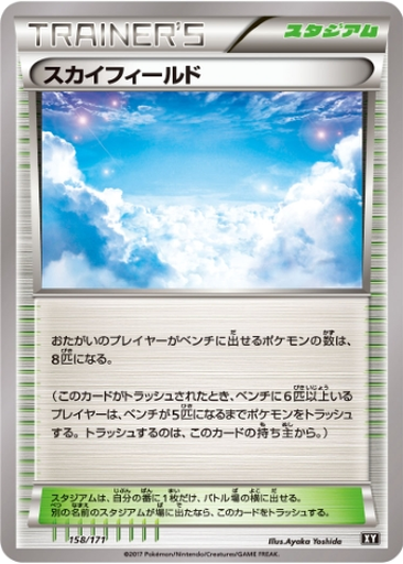 Sky Field 158 - THE BEST OF XY kart gorseli