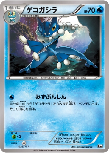 Frogadier 25 - THE BEST OF XY kart gorseli