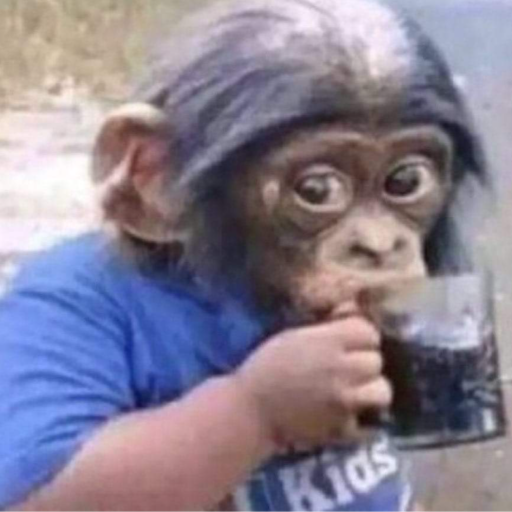 Snoopbong profil fotoğrafı