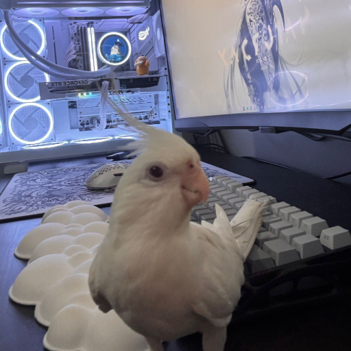 mavisaga profil fotoğrafı