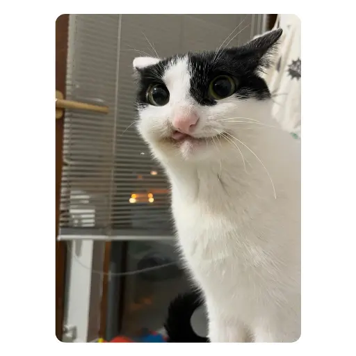 egemenaslan96